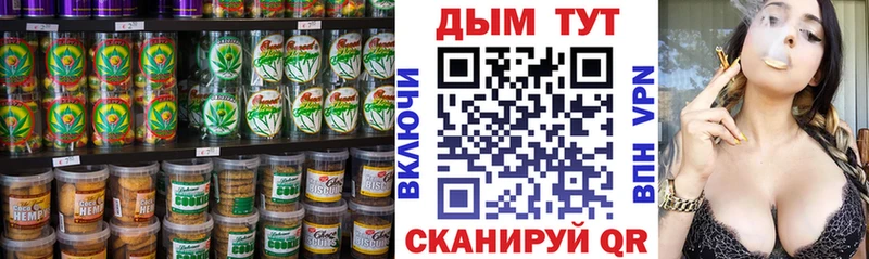 дарнет шоп  Электрогорск  Canna-Cookies конопля 