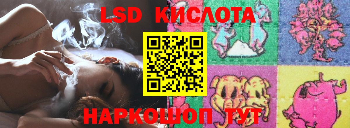 LSD-25 экстази кислота  ЛСД экстази  Электрогорск  Вход с VPN  ЛСД экстази ecstasy 