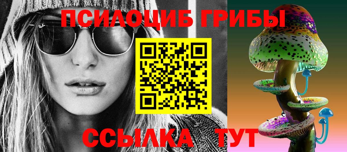 Галлюциногенные грибы мухоморы Электрогорск