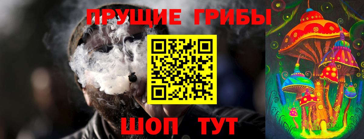 Псилоцибиновые грибы Psilocybine cubensis  Псилоцибиновые грибы прущие грибы  Вход с VPN  наркотики  Электрогорск 