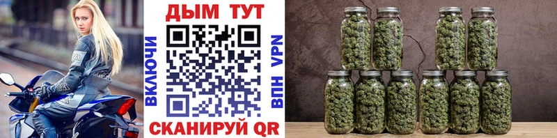 Каннабис VHQ цены Электрогорск